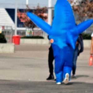 Meet your Posher, Alex